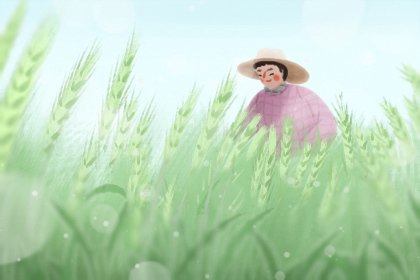 小满节气农民应该干嘛  田间管理，夏收夏种，施肥除草